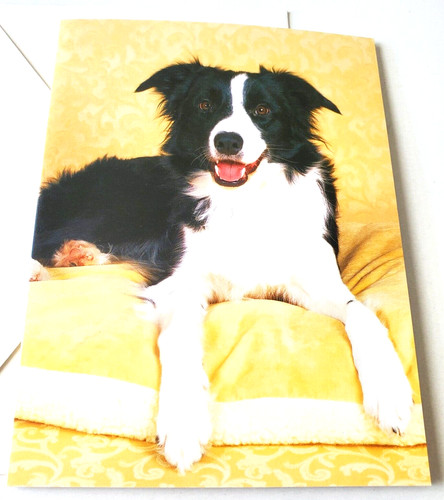 Greeting card blank - dog, border