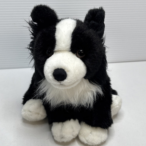Animal alley border collie - alley,